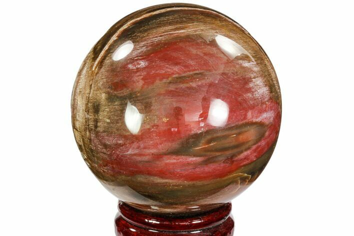 Colorful Petrified Wood Sphere - Madagascar #106987